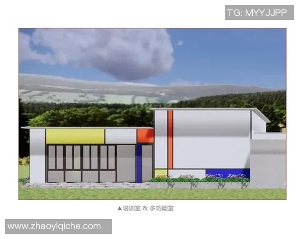 体育培训市场现状与未来发展趋势全面分析与探讨