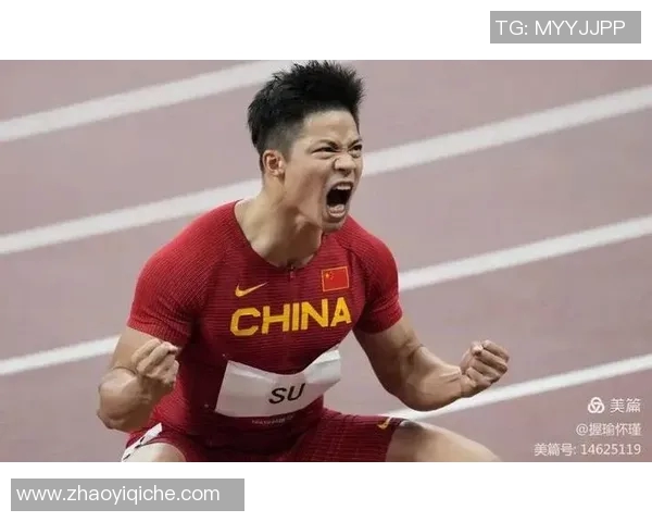 篮球明星10号的精彩瞬间与背后的故事揭秘