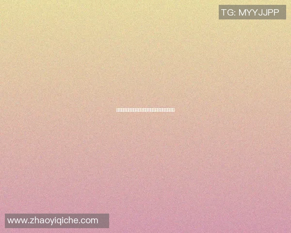 西甲篮球联赛明星球员的辉煌历程与赛场精彩瞬间回顾
